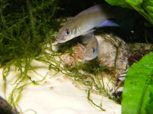 DSCF8035.jpg