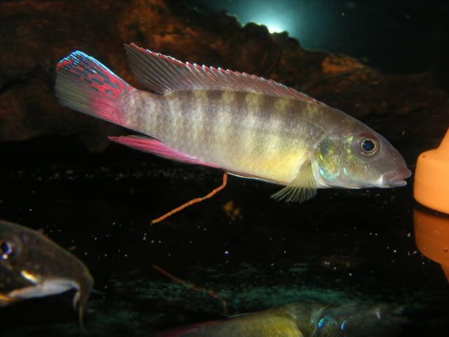 DSCF8087.jpg