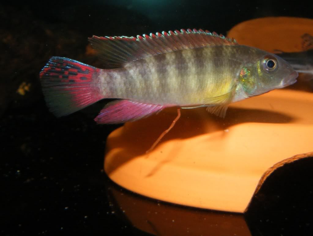 DSCF8093.jpg