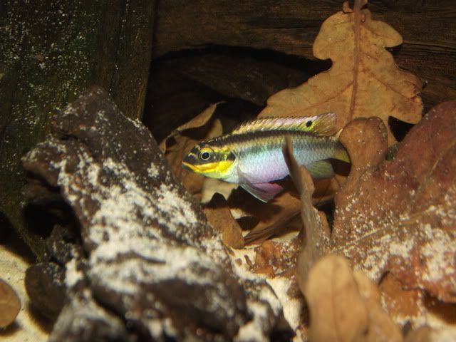 DSCF8096.jpg