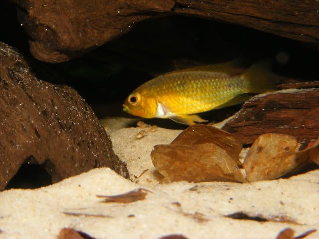 DSCF8101.jpg