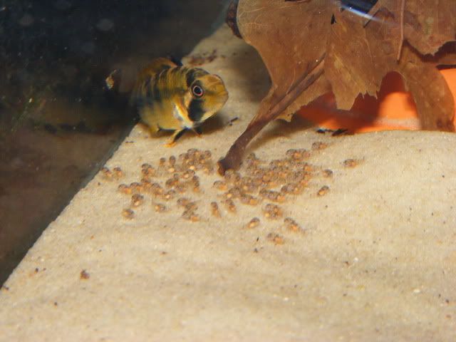 DSCF8104.jpg