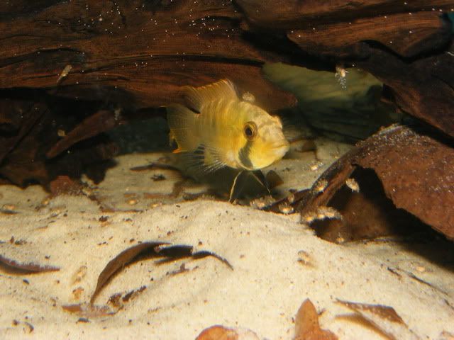 DSCF8139.jpg