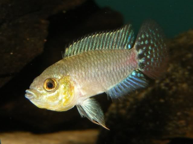 DSCF8794.jpg