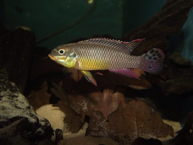 DSCF8946.jpg