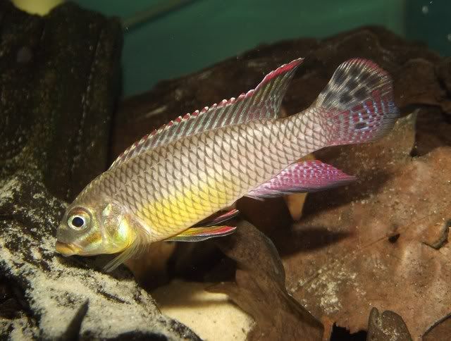 DSCF8952.jpg