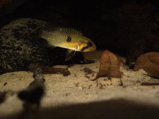 DSCF9583.jpg