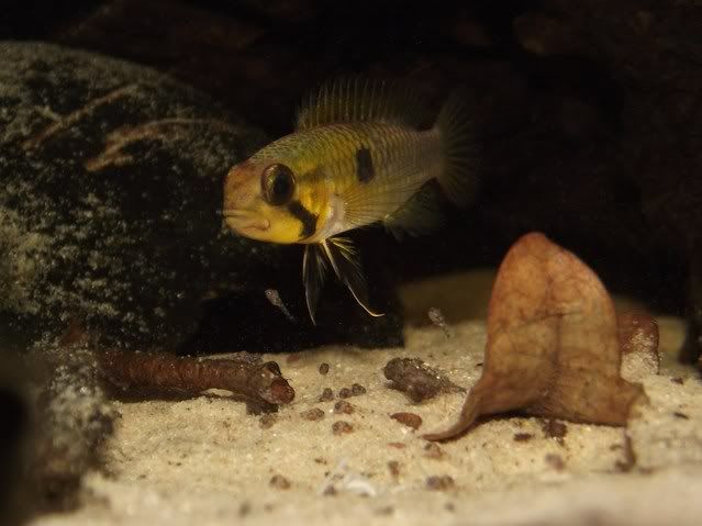DSCF9588.jpg