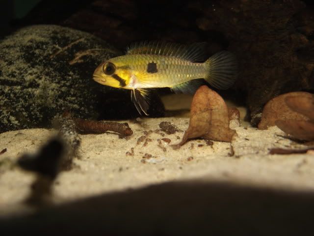 DSCF9593.jpg