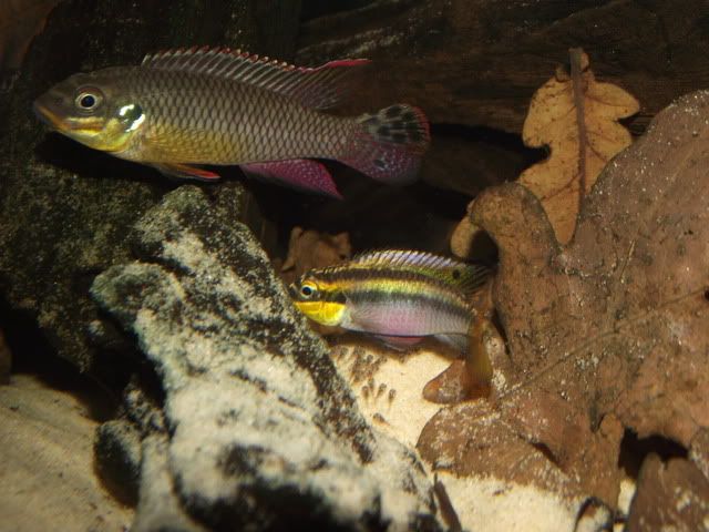 DSCF9803.jpg