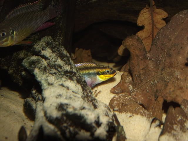 DSCF9804.jpg