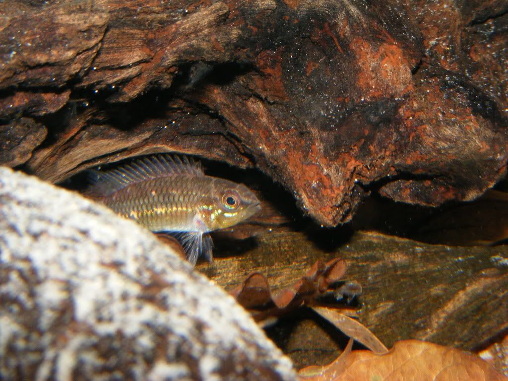 DSCF9854.jpg