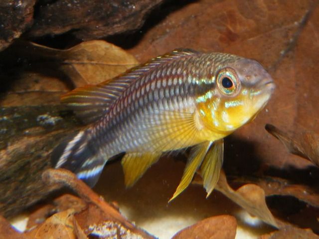 DSCF9863.jpg