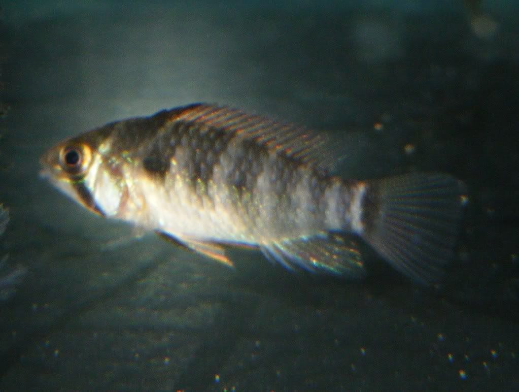 DSCF9910.jpg