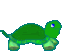 Animation220turtle.gif Turtle! image by KelseyK93