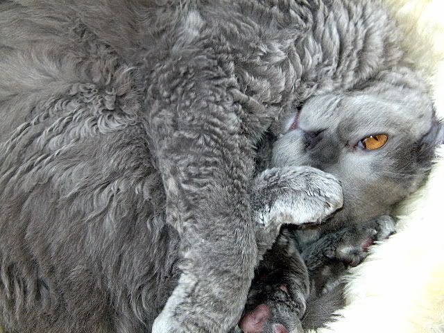 Bild
