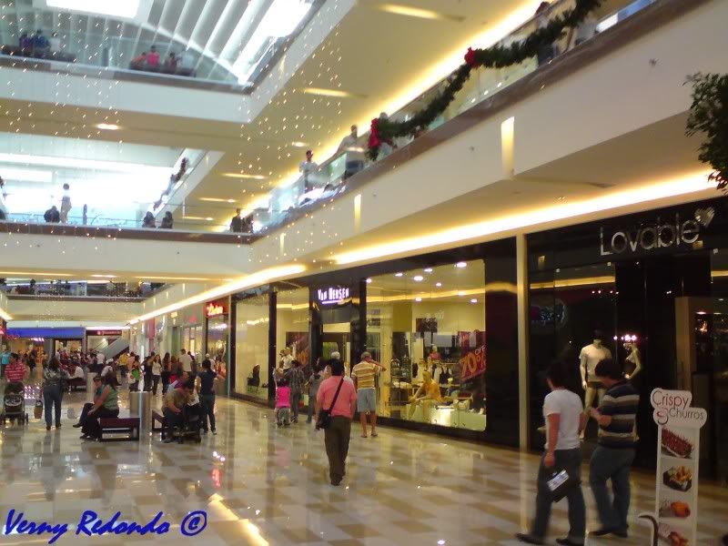 tienda timberland mall multiplaza