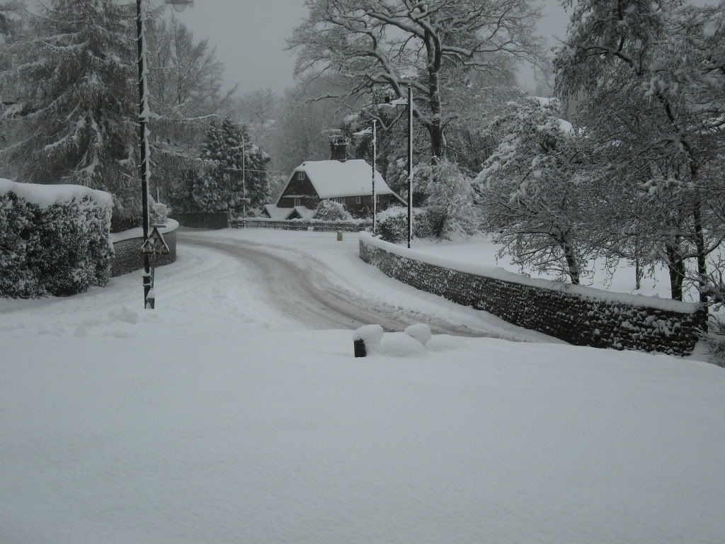 jan6th2010-haslemere011.jpg Lower st, Verrandah cottage picture by romacmail