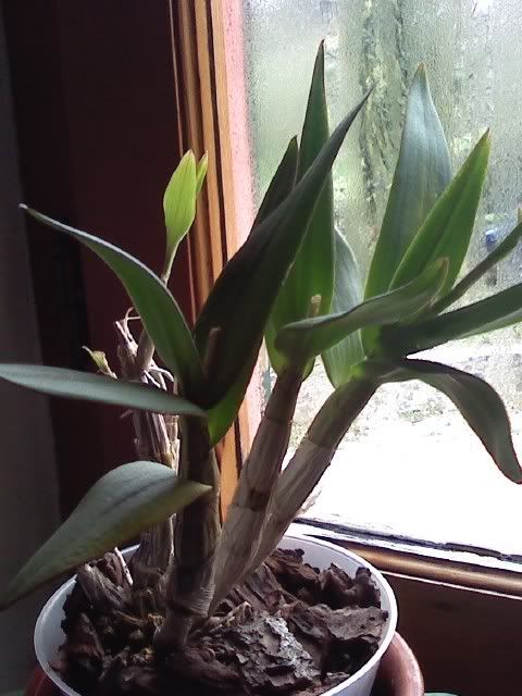 P12-03-08_1053.jpg