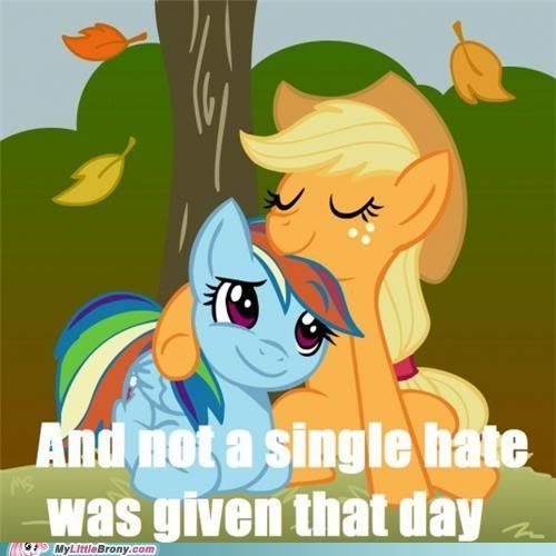 my-little-pony-friendship-is-magic-brony-the-number-of-hates-i-dont-give.jpg