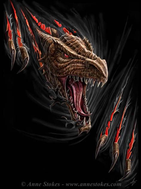 'DRAGON RIP' by Anne Stokes Pictures, Images and Photos