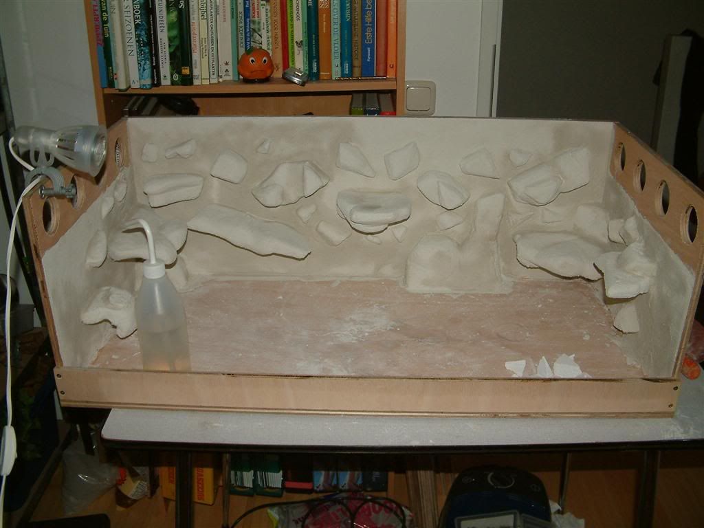 DSCF0360.jpg