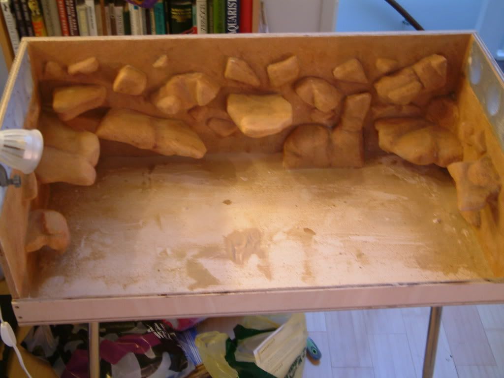 DSCF0374.jpg