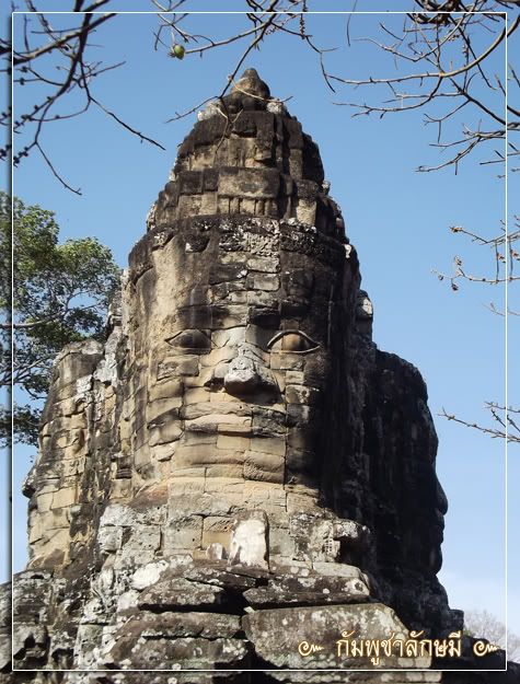 Posted Image