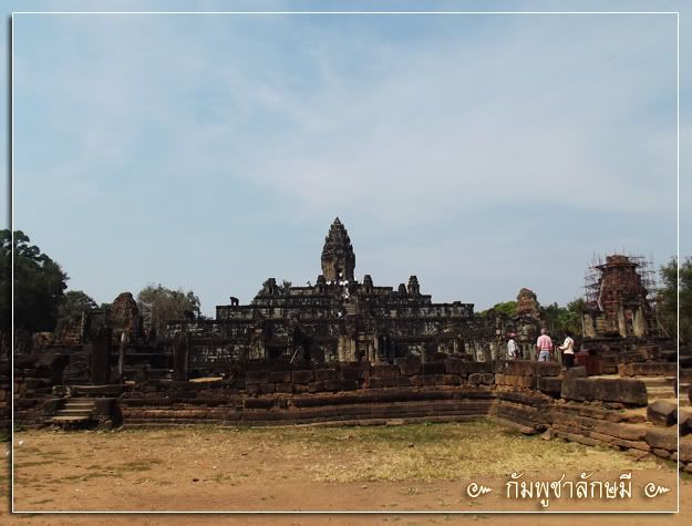 Posted Image