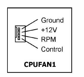 cpufan.jpg