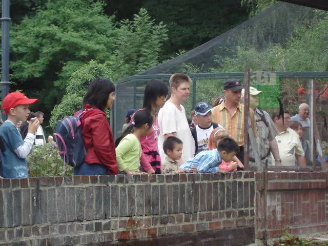 DSC02359.jpg picture by bongmay_2004
