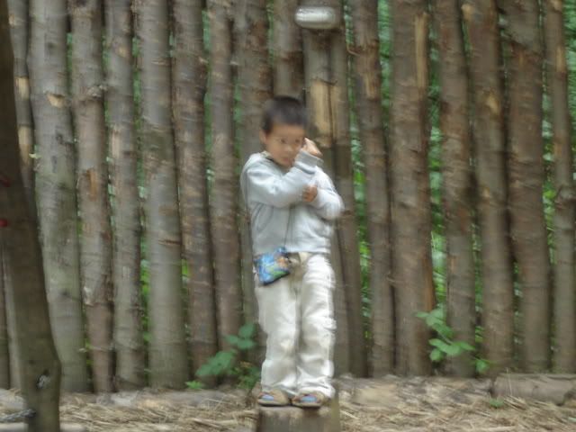 DSC02372.jpg picture by bongmay_2004