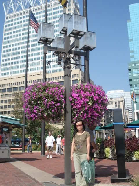 DSC02460.jpg picture by bongmay_2004