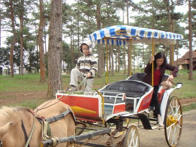 DSC03146.jpg picture by bongmay_2004
