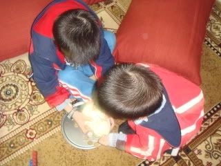 DSC03648.jpg picture by bongmay_2004