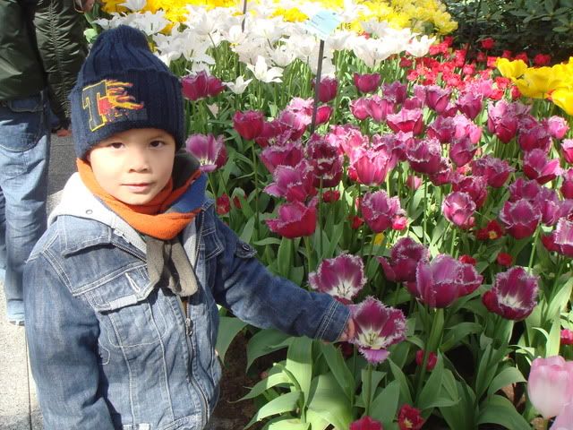 DSC04353.jpg picture by bongmay_2004