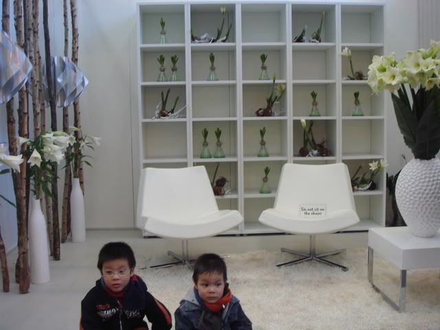 DSC04439.jpg picture by bongmay_2004