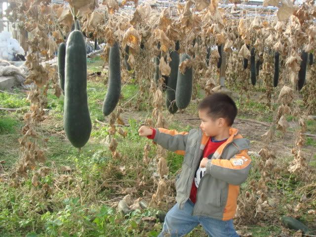 DSC05551.jpg picture by bongmay_2004