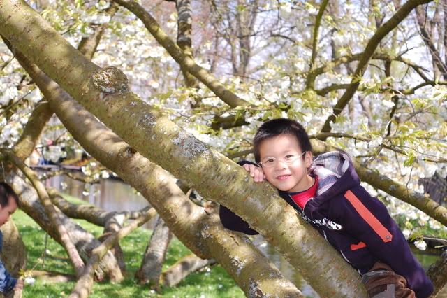 DSC_1910.jpg picture by bongmay_2004