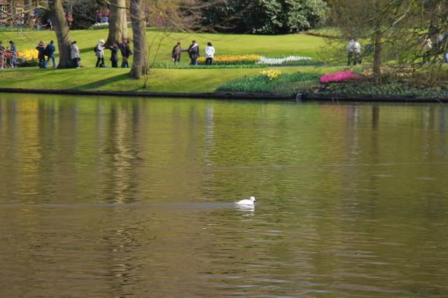 DSC_2230.jpg picture by bongmay_2004
