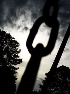 swings Pictures, Images and Photos