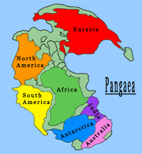 pangaea.gif