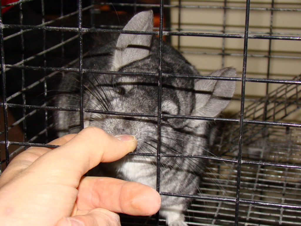 DSC00503.jpg