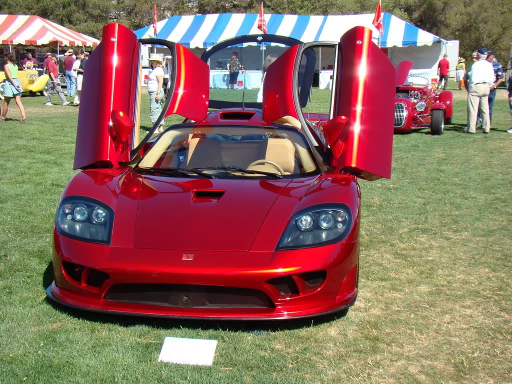 DSC00563.jpg