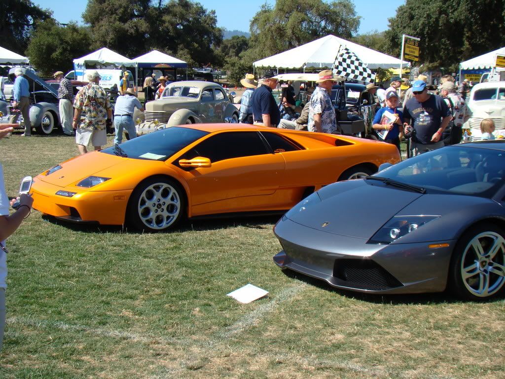 DSC00567.jpg