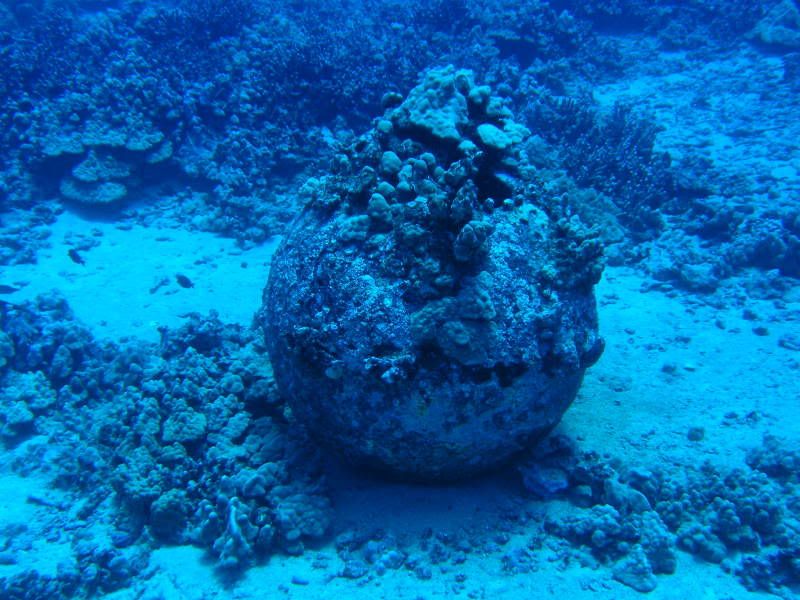 sea_mine_srock Pictures, Images and Photos