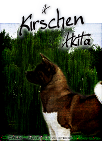 Kirschen Here In Your Arms
