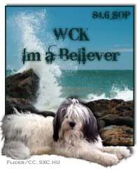 WCK Im a Believer