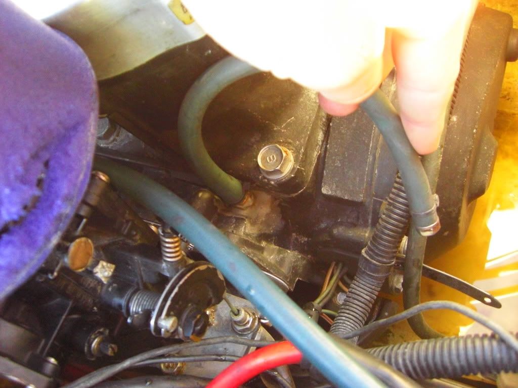 CIMG5255.jpg