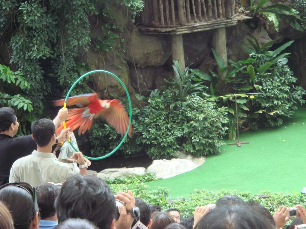 Photo Sharing and Video Hosting at Photobucket